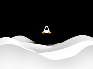Astra Linux: что это такое и почему о ней говорят всё чаще