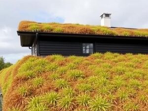 Кровля с зелёным покрытием: экорешение для дома