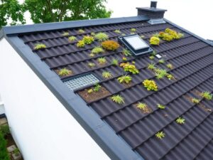 Кровля с интегрированной системой дренажа: идеальный сток без лишних узлов