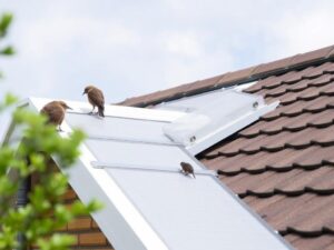 Монтаж кровельных элементов для защиты от птиц и грызунов: практическое руководство по долговечной защите кровли